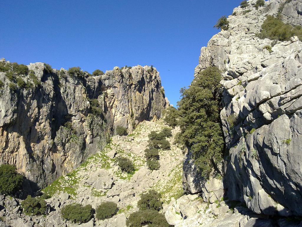 فندق La Palmosa Alcalá de los Gazules المظهر الخارجي الصورة